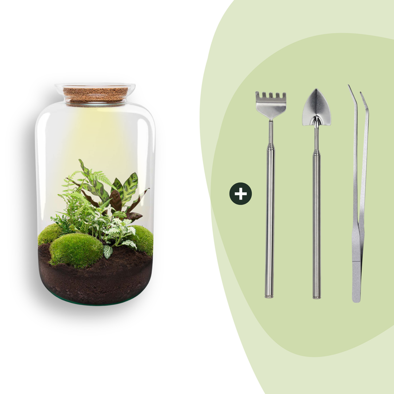 Flaschengarten Botanischer Sven XL DIY-Set mit Werkzeug (43 cm)