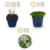 Green boutiQ - Perennials - Isotoma fluviatilis - Blue Star Creeper - Rock Garden Plants - Light Blue - 1 Plant - 11cm Pot - Height 15-25cm Bild 4
