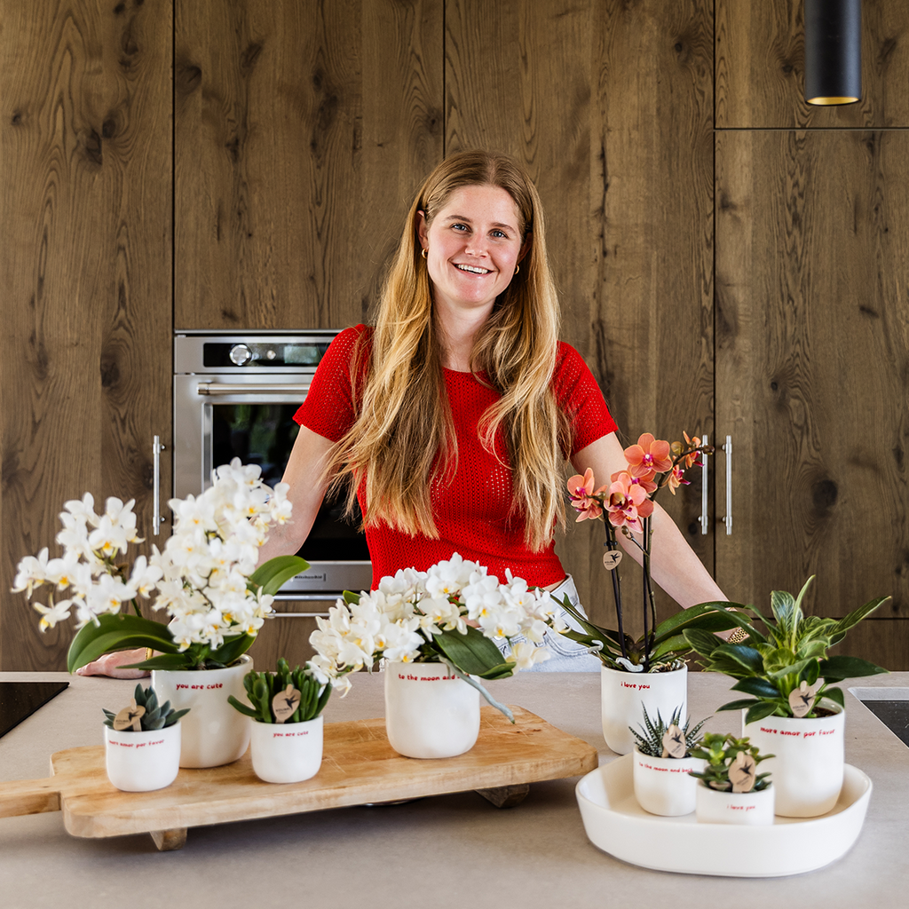 Kolibri Orchids | Geschenkset „Love You“ | Rote Phalaenopsis‑Orchidee Congo mit Grünpflanze in Love‑Übertopfen auf einer Cloud‑Platte