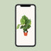 Calathea Orbifolia Ø17cm - ↕60cm - Silver Leaf Patterns Bild 5