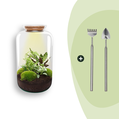 Bottle Garden Botanical Sven XL DIY Kit 43 cm