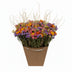 Dried Flowers Multicolored ↕50cm - 10x Bild 1