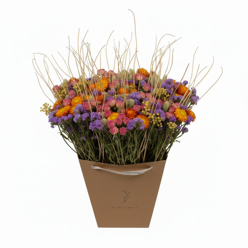 Dried Flowers Multicolored ↕50cm - 10x