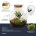 Bottle Garden DIY Kit: Fat Joe Red - 30cm height, no tools required Bild 4