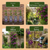 6x Clematis Viticella Polish Spirit - Waldrebe Polish Spirit - Lila - Kletterpflanze - Ø9cm - ↕35cm Bild 6