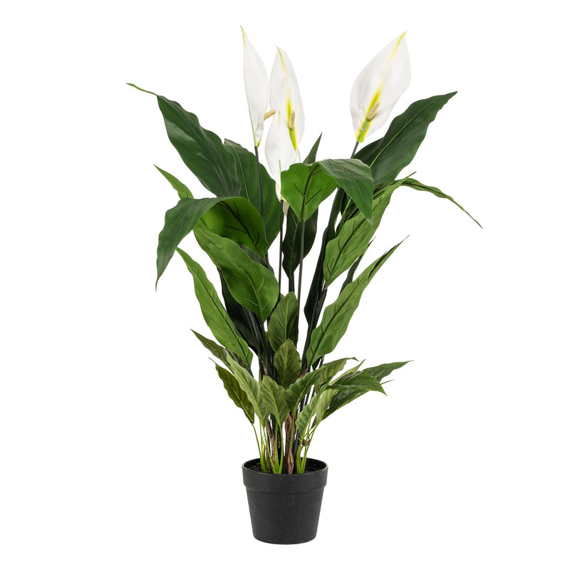 Künstliche Spathiphyllum (Einblatt) 90cm – Pflegeleichte Zimmerpflanze