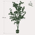 Artificial Cherry Blossom White, 175 cm – Easy Care & Decorative Bild 2