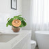 Pilea Peperomioides (Ø12cm, ↕20cm) – Trendige Zimmerpflanze Bild 3