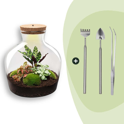 Flaschengarten - Fat Joe Rot - ↕ 30 cm - Rake + Shovel + Tweezer