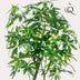 Kunstpflanze Pachira Aquatica Glückskastanie 180 cm Bild 4