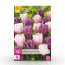 GreenboutiQ Tulpenzwiebeln 'Macron Mix' - 12 Stück, bunte Frühlingstulpen Bild 1