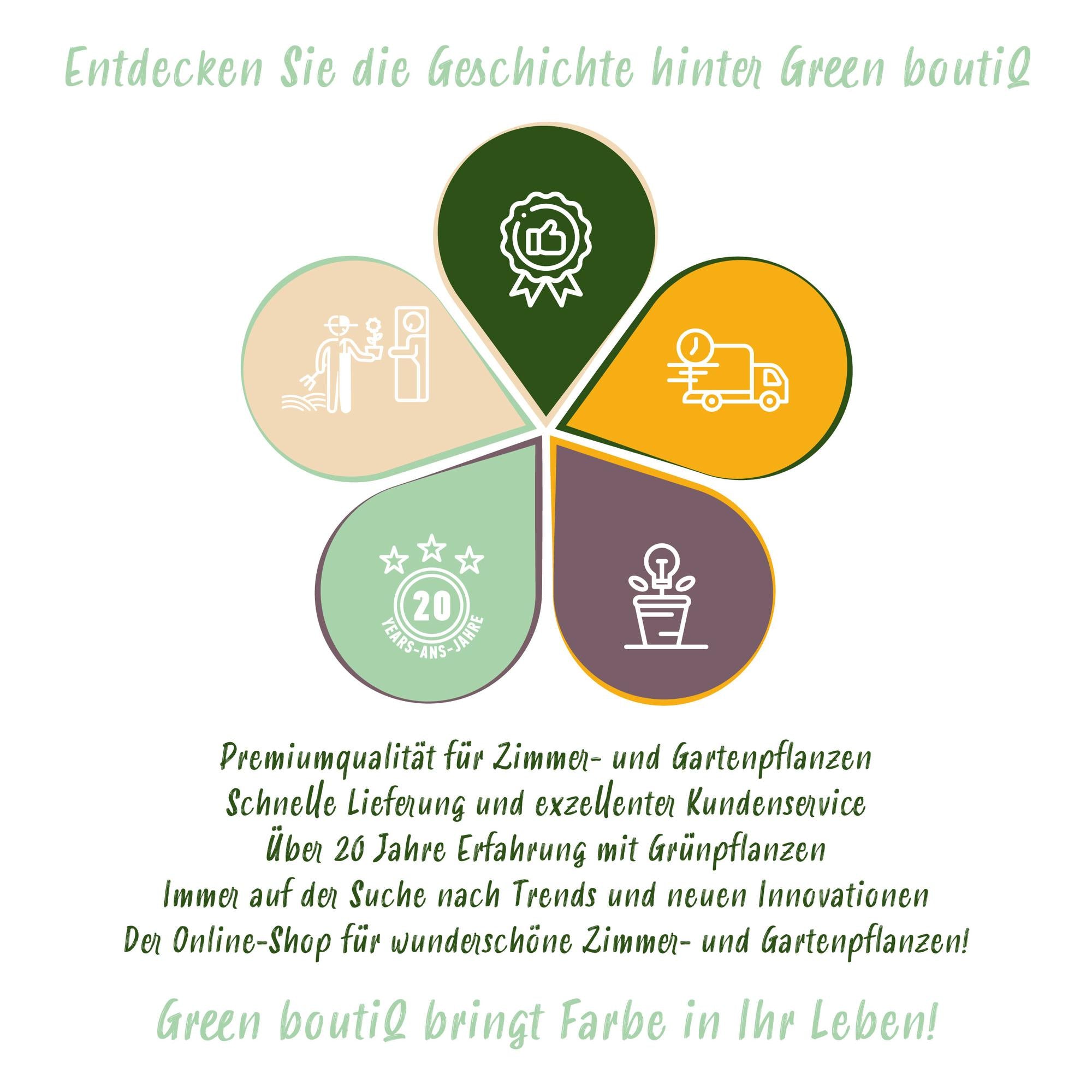 GreenboutiQ - Blumenzwiebeln - Hyazinthenmix - Bulbs Hardy Perennial - Verschiedene Farben - 10 Stück - Zwiebelgröße 14/15 - XXL Pack