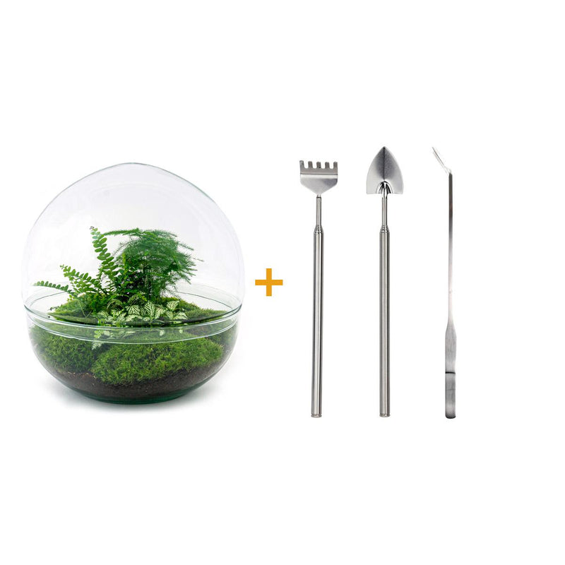 Bottle Garden Dome XL 30cm DIY Set with Accessories