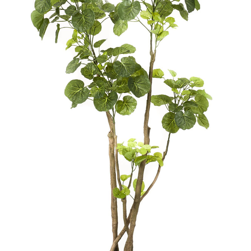 Kunstpflanze Polyscias Aralia, 135 cm – Grün und Pflegeleicht
