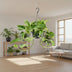 Epipremnum Marble Queen Topfpflanze, Ø15cm, H25cm Bild 3