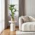 Green boutiQ - Zimmerpflanze - Howea Forsteriana - Kentia Palme - Wenig Pflege - Grün - 2 Pflanzen - Topf 19cm - Höhe 80-85cm Bild 7