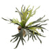 Kunstpflanze Staghorn Farn - Geweihfarn, 50 cm Bild 1