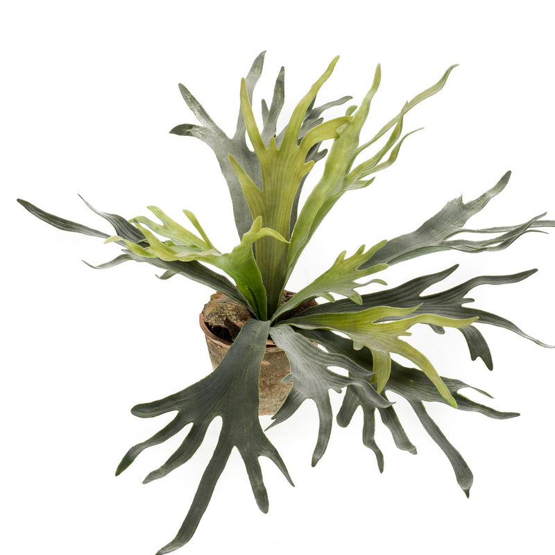 Kunstpflanze Staghorn Farn - Geweihfarn, 50 cm