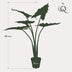 Artificial Plant Alocasia Frydek, 80 cm – Easy-Care & Decorative Bild 2