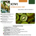 „Sommerfrüchte“ BIO Obstpflanzen-Mix – Set mit 4 verschiedenen Sorten Bild 4