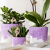 Kolibri Home Flower Pot Purple Ø6cm – Elegance for Your Home Bild 5