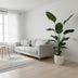 Strelitzia Nicolai, Bird of Paradise, 170 cm, ⌀24 Bild 3