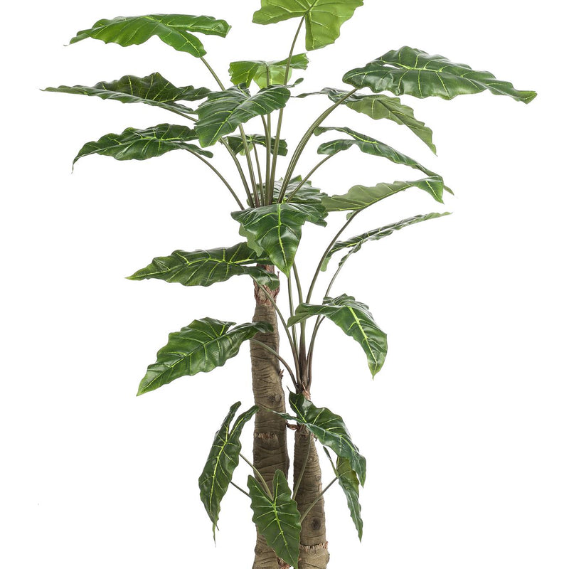 Artificial Alocasia Frydek, 180 cm, Evergreen, Easy-care
