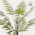 Kunstpflanze Rumohra Adiantiformis (Lederfarn) - 150 cm Bild 3