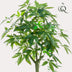 Artificial Pachira Aquatica Money Tree 150cm Bild 4