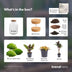 DIY Pflanzen-Terrarium mit Licht - Milky Palm Ø 21 cm Bild 4