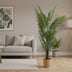 Künstliche Goldpalme Areca Lutescens 240 cm – Tropisches Grün Bild 3