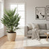 Chamaerops Humilis Zwergpalme - 100cm - Ø21 Bild 2