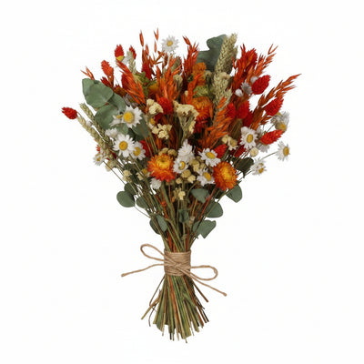 Getrocknete Blumen Klassisches Bouquet Orange ↕60cm