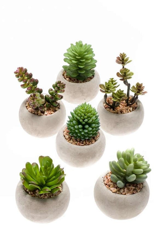 Kunst Mini-Sukkulenten Set (6 Stk.) im Zementtopf Ø 6,5 cm