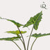 Artificial Plant Alocasia Frydek, 80 cm – Easy-Care & Decorative Bild 3
