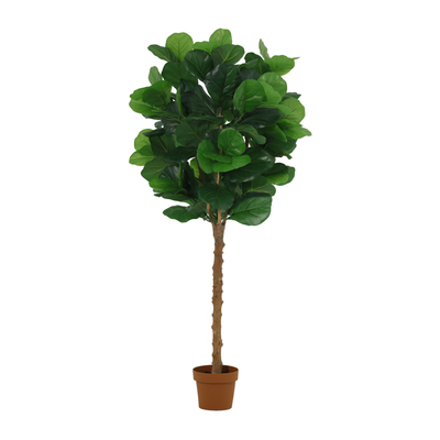 Künstlicher Ficus Lyrata Baum 160cm – Tropisches Flair ohne Pflege