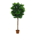 Artificial Ficus Lyrata Tree 160cm – Tropical Flair Without the Fuss Bild 1