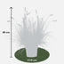 Pennisetum alopecuroides 'Hameln' - Ziergras im 19cm Topf, 40cm hoch Bild 4