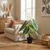 Artificial Alocasia Polly: Artificial Plant, 40cm – Tropical Flair Without the Fuss Bild 4