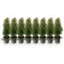 Thuja Smaragd Heckenpflanzen: 8 immergrüne Pflanzen für 1m Hecke Bild 2