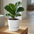 Elho Greenville Rund Pflanztopf 30cm Weiß - Modern & Langlebig Bild 6