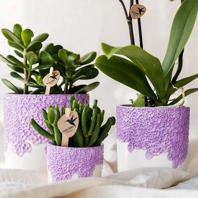 Kolibri Home Blumentopf Lila Ø9cm – Eleganz für Ihr Zuhause
