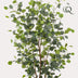 Kunstpflanze Eucalyptusbaum 'Blauer Gummibaum' - 140 cm Bild 3
