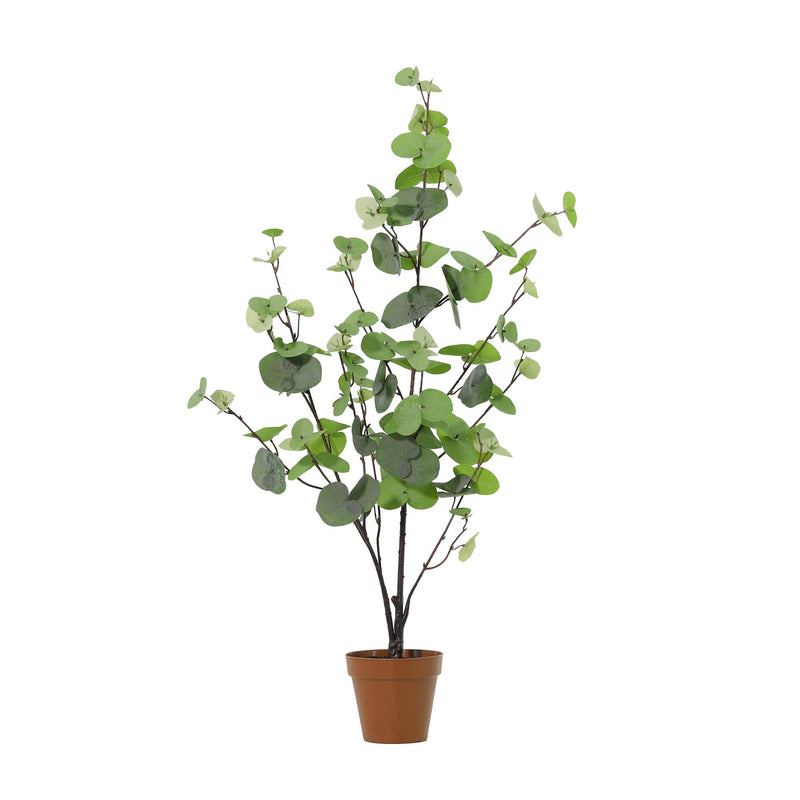 Artificial Eucalyptus, green, 86cm – Natural Decor Without Maintenance