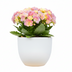 Pot Eggy Anthrazit Pflanztopf D55 x H43 cm für Innen & Außen Bild 4