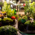 Holly Christmas terrarium - Bottle garden DIY kit - Ø 29 cm ↑ 30 Bild 4