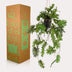 Realistic Philodendron Artificial Hanging Plant, 80 cm Bild 5