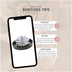 ROOTLESS Echeveria Lilacina in schwarzer Schale, Ø20cm Bild 6