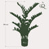 Kunstpflanze Zamioculcas (Zimmerpalme) - 110 cm Bild 2