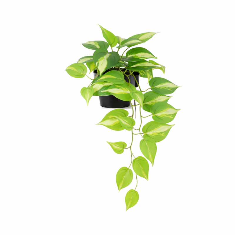 Artificial Epipremnum Variegata (37 cm) – Easy Care & Decorative